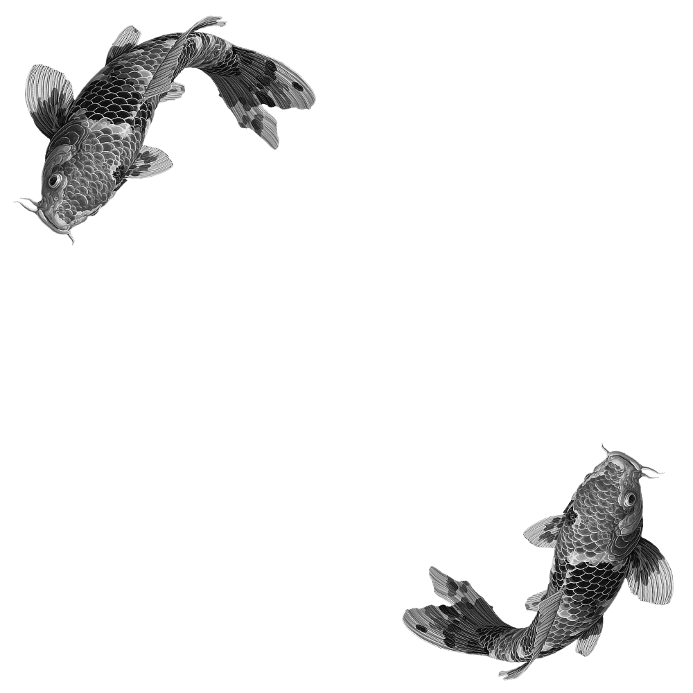 Fish Aura